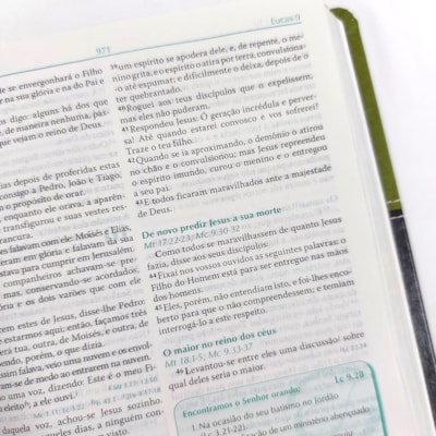 image_56bff4e4-8962-491f-868d-c1bc1d03dfd1