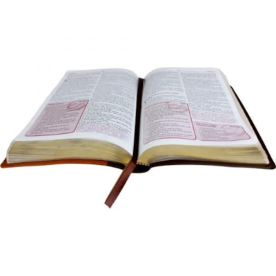 image_4594b63f-6f80-4c76-83ed-fde7676a6915