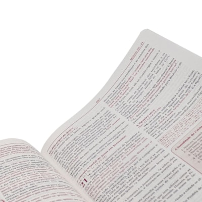 image_64b2506a-9a9d-40a3-a58a-cbe06341420d