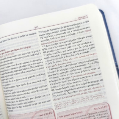 image_e6cb29bb-eadf-40cf-91a0-dcd5558d2a9b