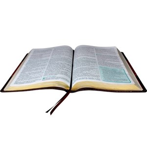 A Bíblia do Pregador | Letra Normal | ARA | Capa Flexível PU Marrom Claro/Escuro