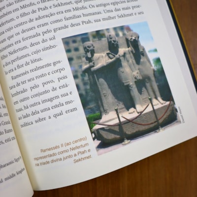 image_195ed182-101f-41af-aa45-28c58b3883b8