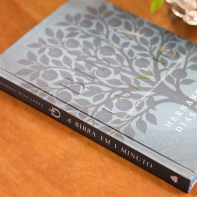 image_522ac88f-4459-42f0-a408-8c3f1851ab58