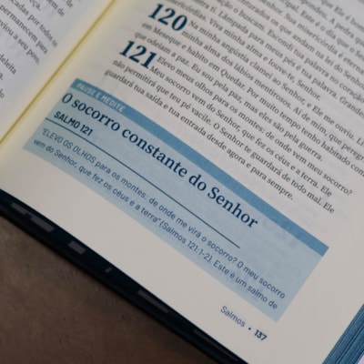 image_bd1373c6-a13c-4e2b-8570-4c95e1bcbfb4