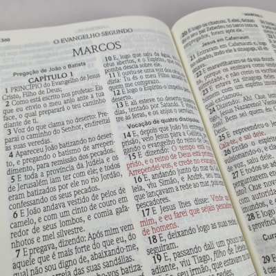 image_16609b57-bd4d-43e2-9026-2def8064e457