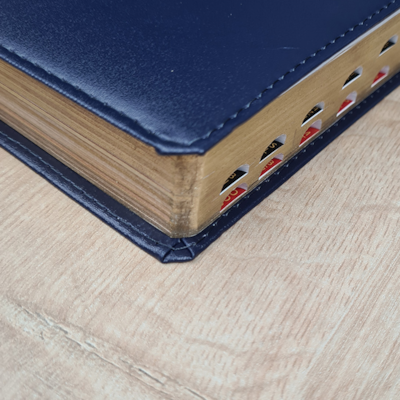 image_2eca7c95-1b4e-4855-aaea-ed79af54e232