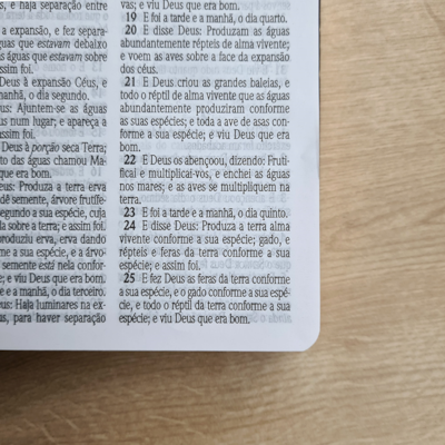 image_47980cdd-3f6b-429d-9b87-713736dc4225