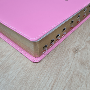 Segunda imagem do produto A Bíblia Sagrada | ACF | Letra Gigante | Capa Luxo Rosa