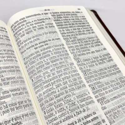 image_46f6f1de-919a-4f46-b8b0-fdb4fae60dc9