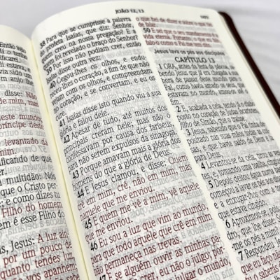 image_f6f72fe4-030d-4ddc-90e2-2125e5f006b3