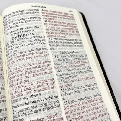 image_1ed3c32e-1c1d-46f2-b6d7-bdb11a9ea337