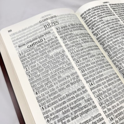 image_165bd237-7f99-431e-a46e-c38b71f3db90