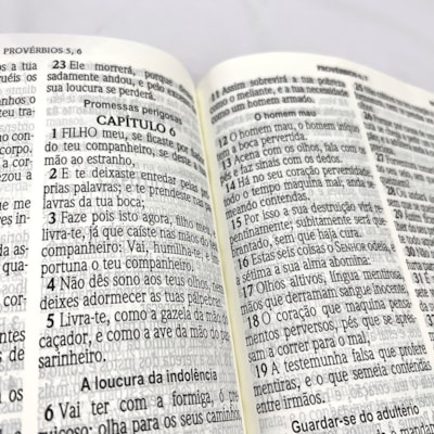 image_7bea9cd4-fb51-4cf3-bc7e-b6a6ff6325d0