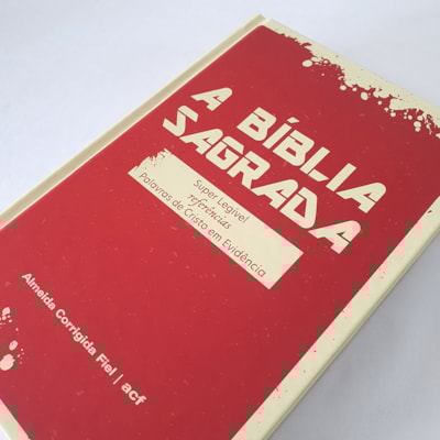 image_e9b5b281-fe8e-44bd-b88b-60e1f9cbf048