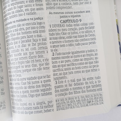 image_34b41466-aac2-4e9a-8f45-57f8d7567b99