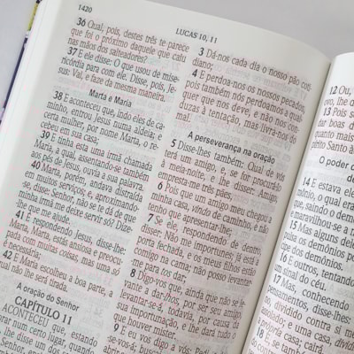 image_109145c8-a620-45bd-bca6-49cfe0d9eb57