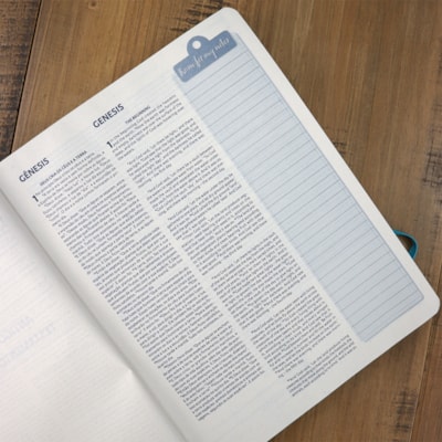 image_fb34ca64-2f84-4e7d-a877-a53ff8c77f49