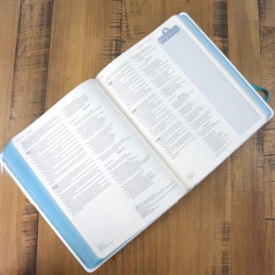 image_4a624ac9-69aa-470c-9064-afb120e80a13