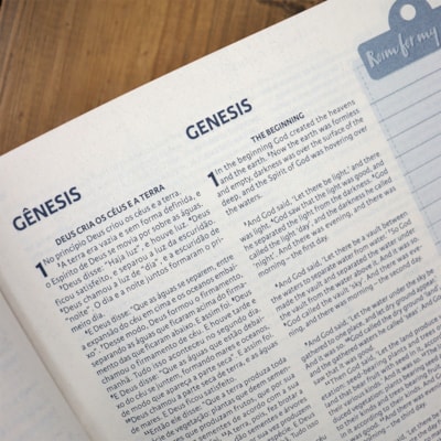 image_da5ce96f-13dd-4d91-80e4-871fde7004ca