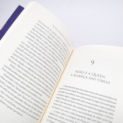 image_7a62dbbb-d0e1-43a3-8127-56ba00e98679