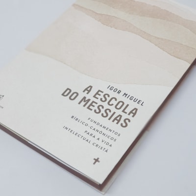 image_4aa0ff12-ecc9-4a87-a909-a02d540a98f5