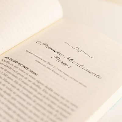 image_6a511bf8-7d24-4fa1-a88c-46220d9d0234