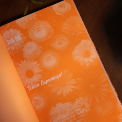 image_2998b77e-179d-4627-aeaa-ee996b451089