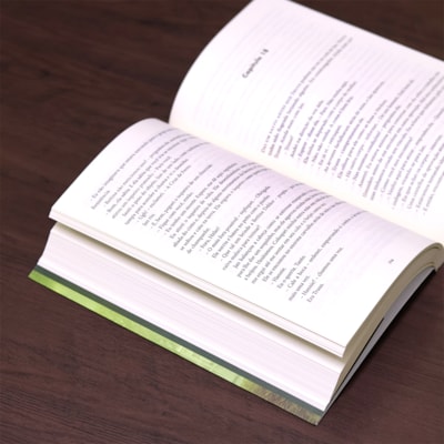 image_ff38dae4-8ee5-47e7-92c1-cd68b01b7af9