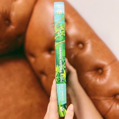 image_7e73f07c-d0b2-4d98-a290-6c2b5b29bea4