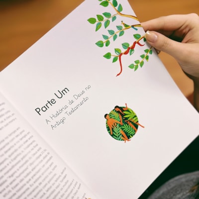 image_21c6d602-7670-417a-a7cb-ca387b8abd34