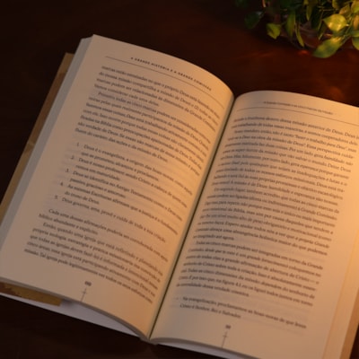 image_7e395cf3-d7ab-4841-a260-7bb3549bae07