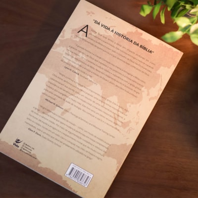 image_67dcb48c-387f-4c96-a128-bd07743553fe