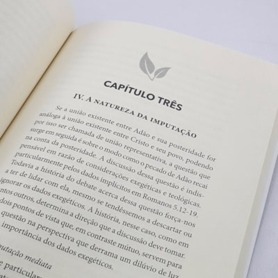 image_fa34924c-701d-4545-8c1e-ecb79a7f9d1c