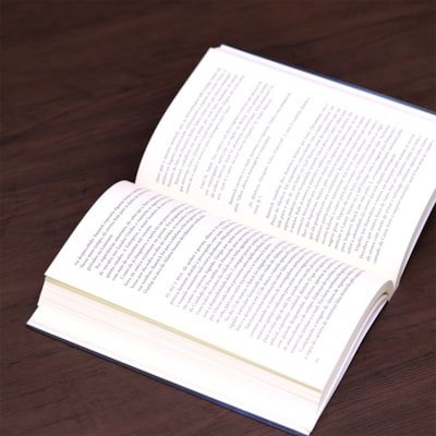 image_824ff31d-ecc8-46d4-b718-aa7c11b76655