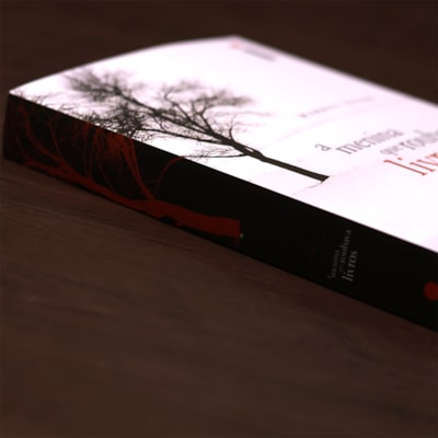 image_47801963-b3ed-430e-aa2a-c823d0d4f4d4