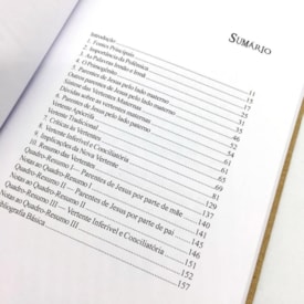 Segunda imagem do produto A Misteriosa Família de Jesus | Antonio Sérgio Valente