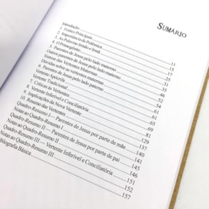 Segunda imagem do produto A Misteriosa Família de Jesus | Antonio Sérgio Valente