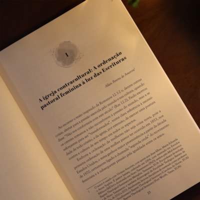 image_9c8250fd-303f-41cc-a322-20c5a8778056