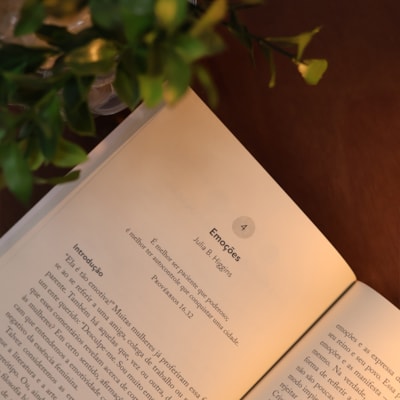 image_9fb94659-8627-4f54-a75b-8aaafa210714