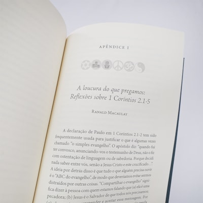 image_cc48da63-41e8-4916-85cc-fabbbe124f87