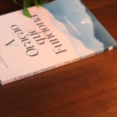 image_65cba049-f70f-4b11-8e06-22f98cefc657