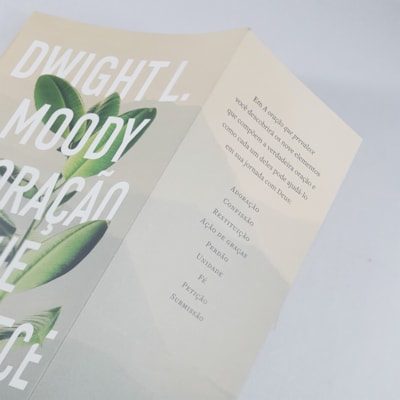 image_7b08d554-d141-46a5-9a4a-a04c07ff0557