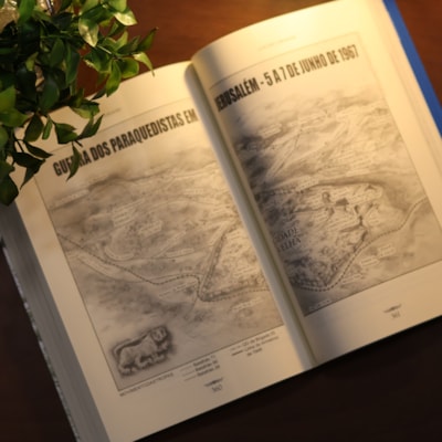 image_73067101-a08e-4b69-9887-3c7d1483349d