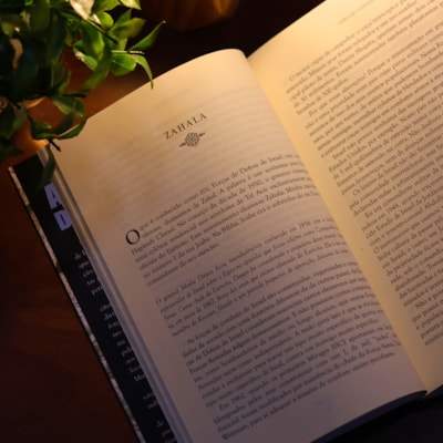 image_370bf619-68b4-4dda-9789-c447fd1f145b