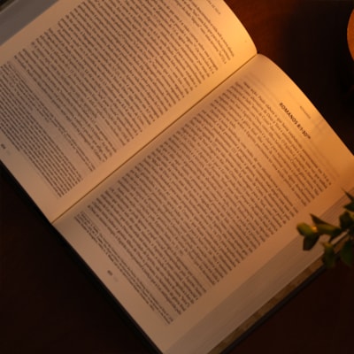 image_f5f81a90-a852-4345-89a5-eba6029be547