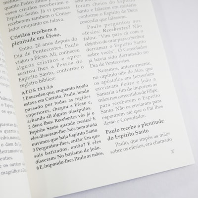 image_706dc386-9bd1-4c31-b9ef-b13a829e80dd