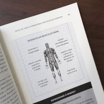 image_55729569-4bb4-4f23-8172-2457f59d692b