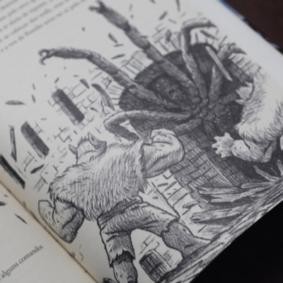 image_13fede67-5fd3-452b-8b37-78dfb523fc52