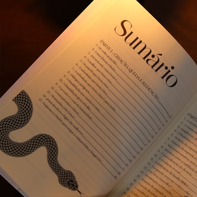 image_9a04ad4f-c5a9-4486-8089-0371eaa8854e