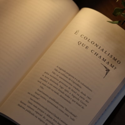 image_cf17d4a5-1885-4441-bf1e-17688add9fad